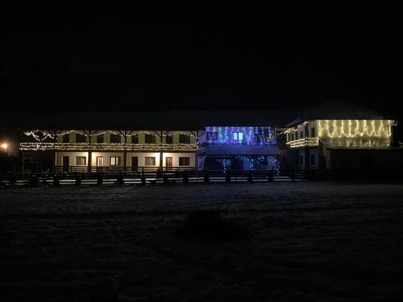 Apartment Lex